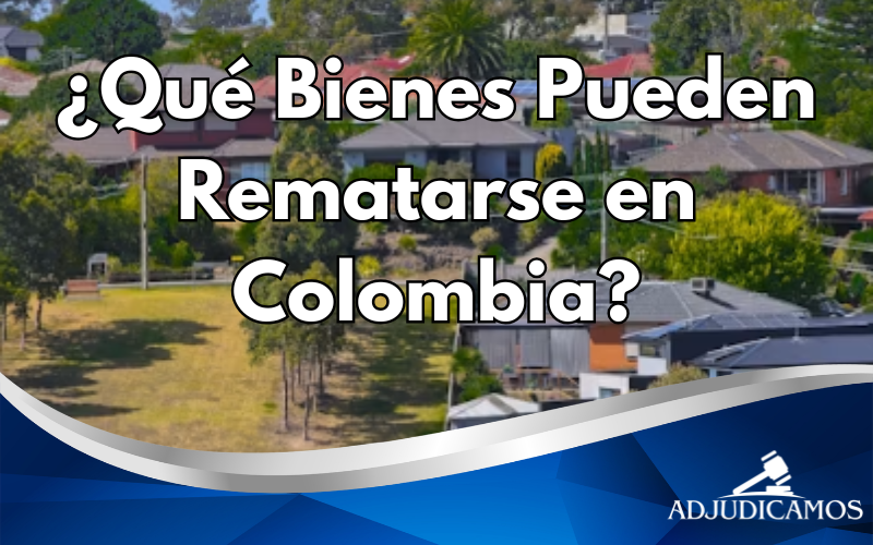 qué bienes pueden rematarse en colombia